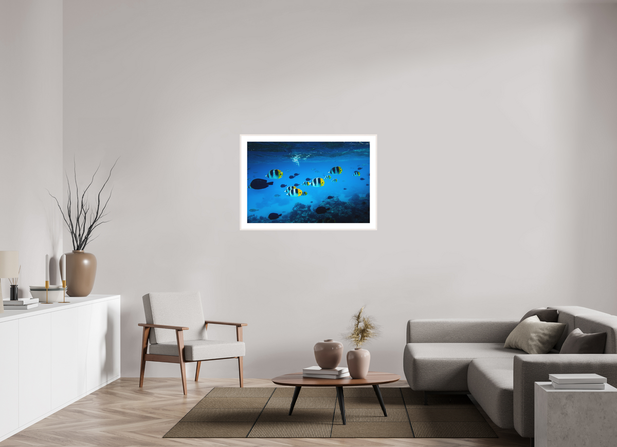 105 x 70 cm, Rahmen-Weiß Tropical Fish, Bora Bora