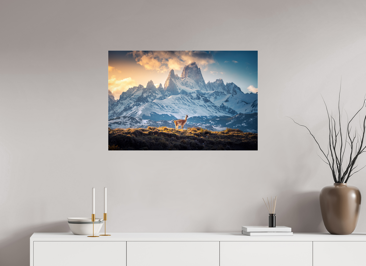 90 x 60 cm, Photo Print Under Acrylic Glass Guanaco at Fitz Roy, Patagonia