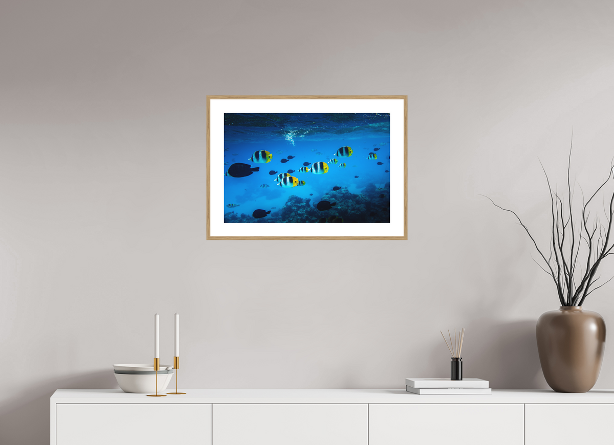 60 x 40 cm, Rahmen-Holzoptik Tropical Fish, Bora Bora