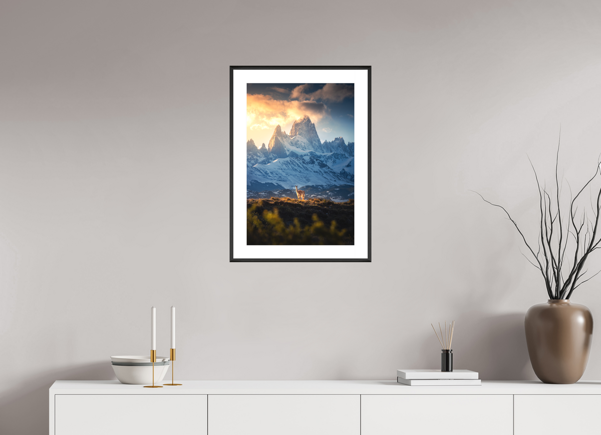 40 x 60 cm, Rahmen-Schwarz Guanaco below Fitz Roy in Golden Light, Patagonia