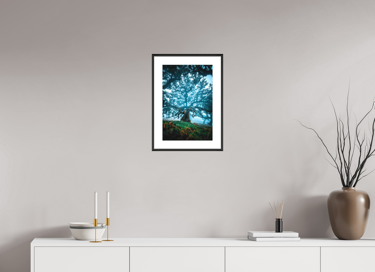 30 x 45 cm, Rahmen-Schwarz Old Laurel Tree in the Light, Madeira