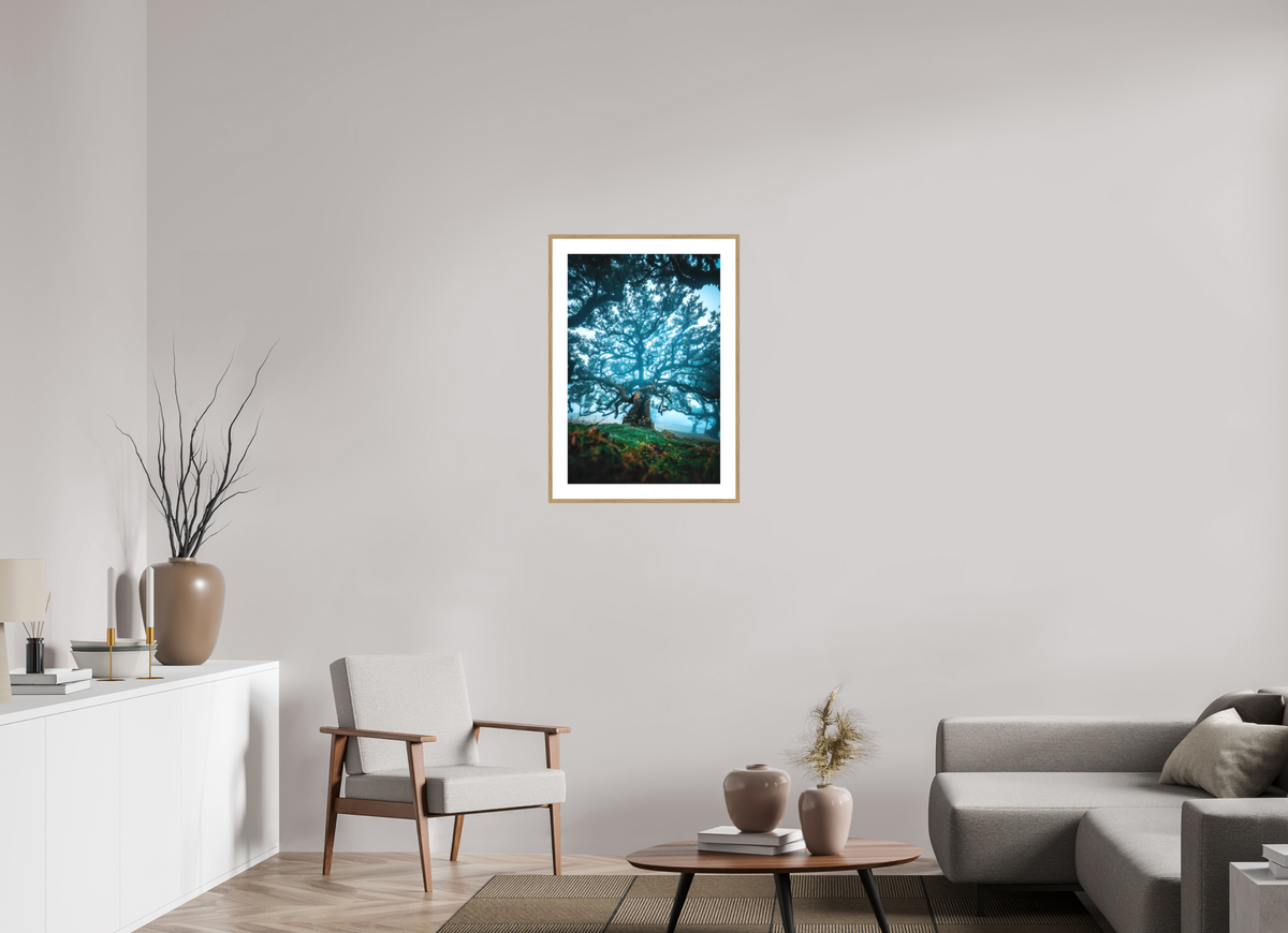 50 x 75 cm, Rahmen-Holzoptik Old Laurel Tree in the Light, Madeira