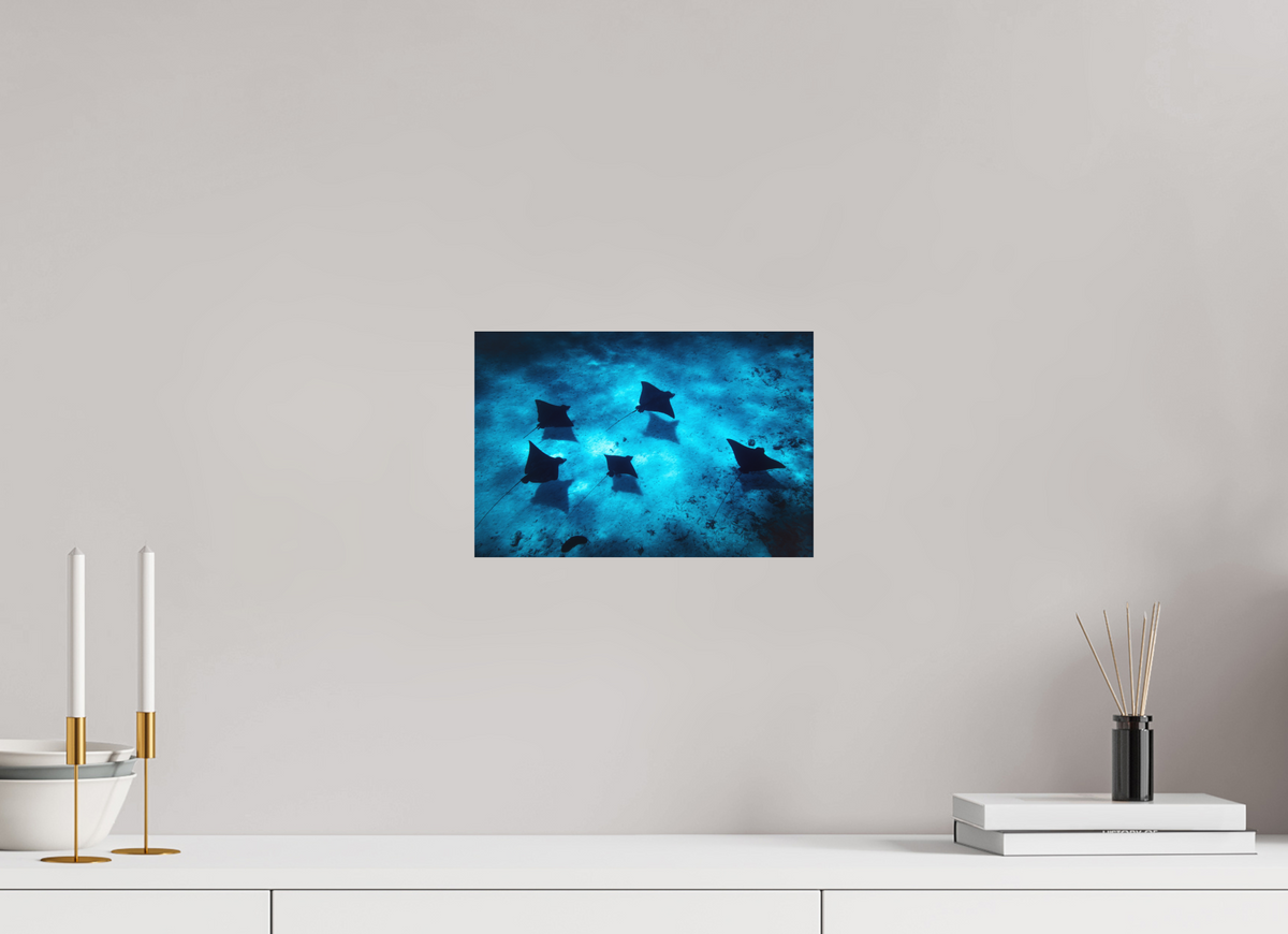 30 x 20 cm, Papierprint ohne Rahmen Eagle Rays in the Lagoon, Bora Bora