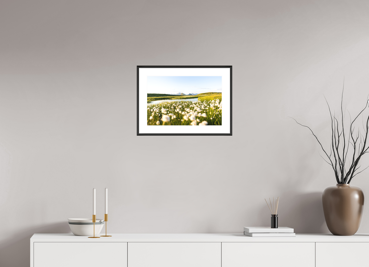 45 x 30 cm, Rahmen-Schwarz Alpine Cotton Grass by the Pond