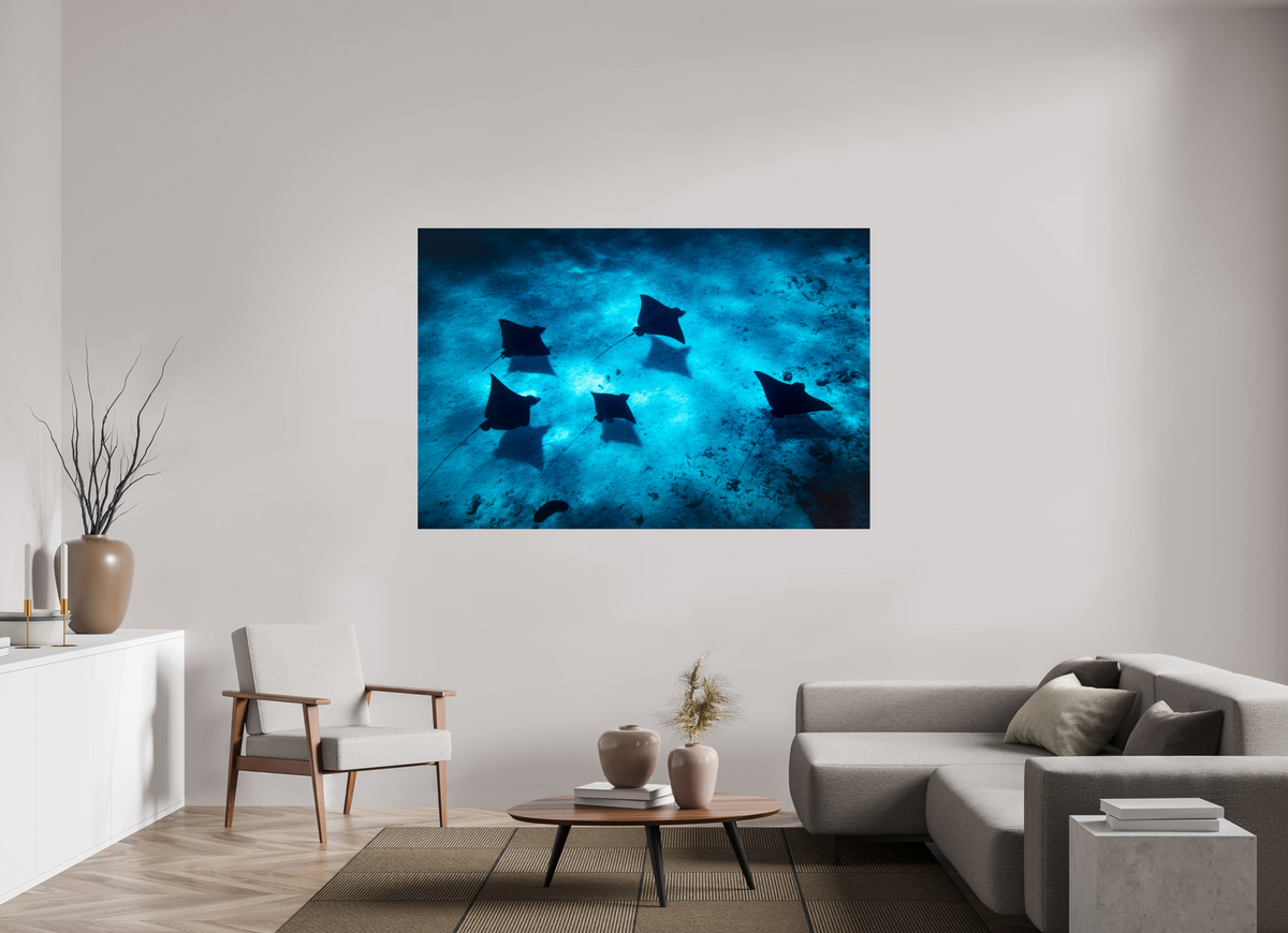 180 x 120 cm, Photo Print Under Acrylic Glass Eagle Rays in the Lagoon, Bora Bora