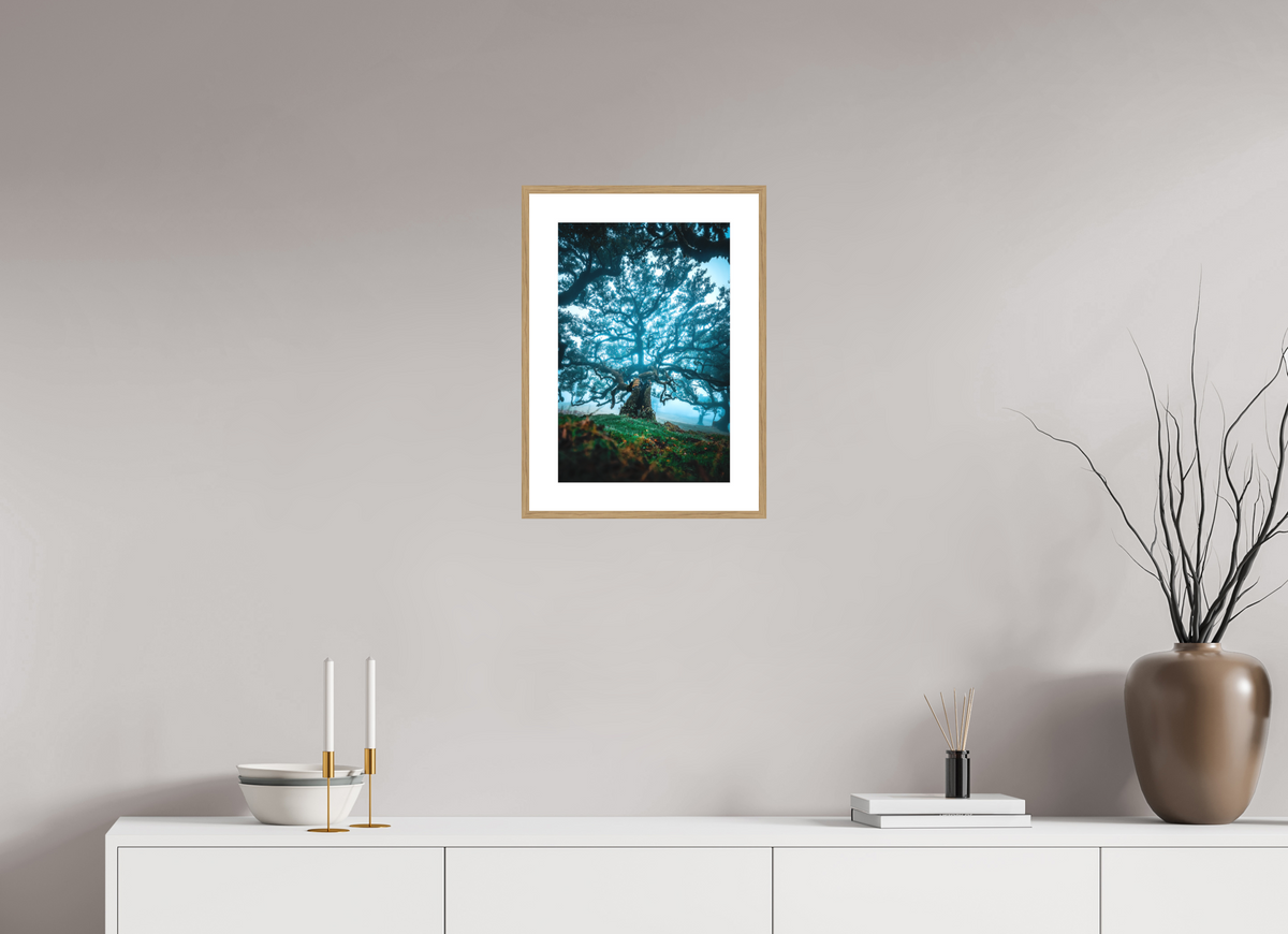 30 x 45 cm, Rahmen-Holzoptik Old Laurel Tree in the Light, Madeira