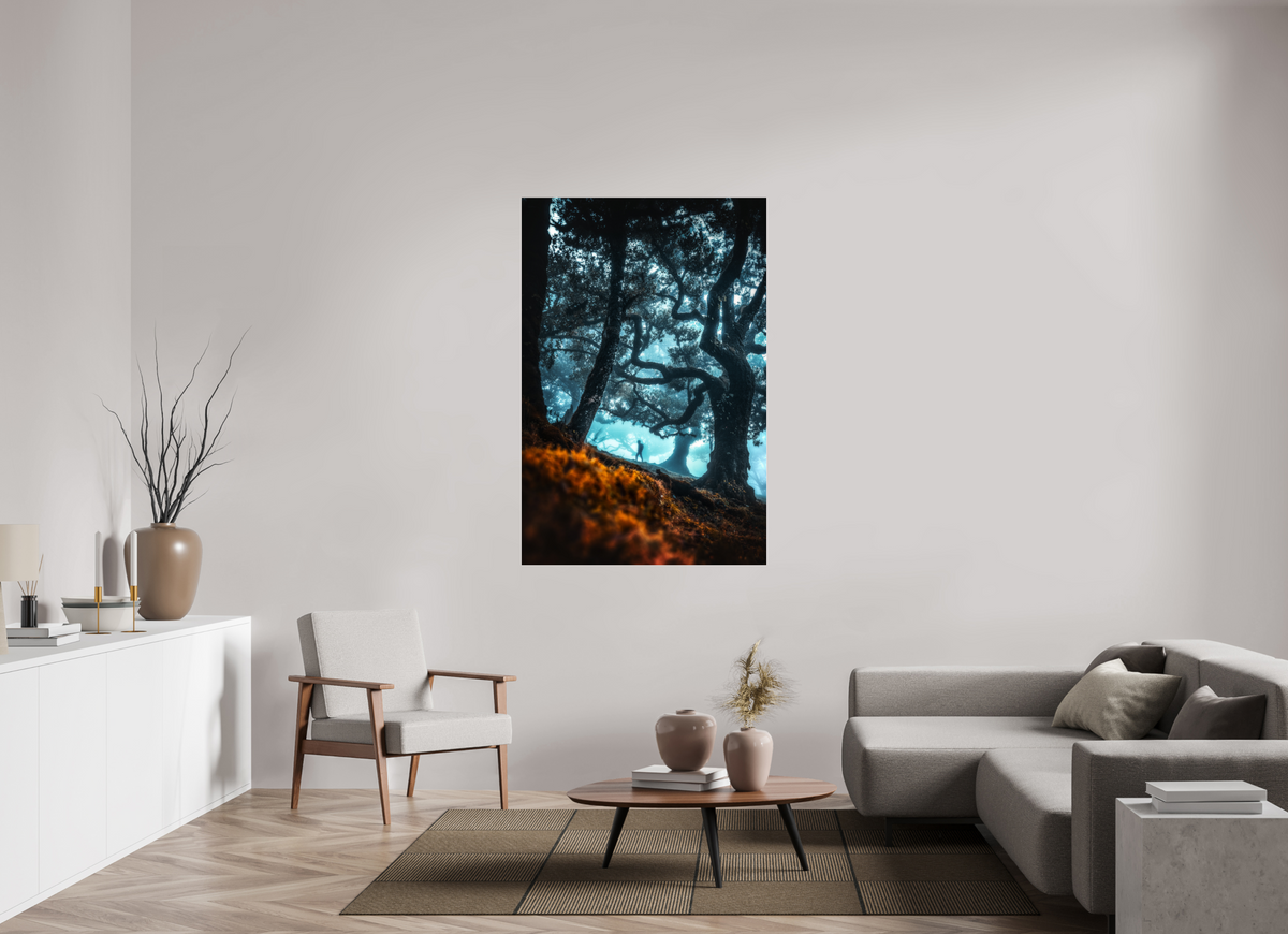 100 x 150 cm, Photo Print Under Acrylic Glass Enchanted Forest, Fanal, Madeira