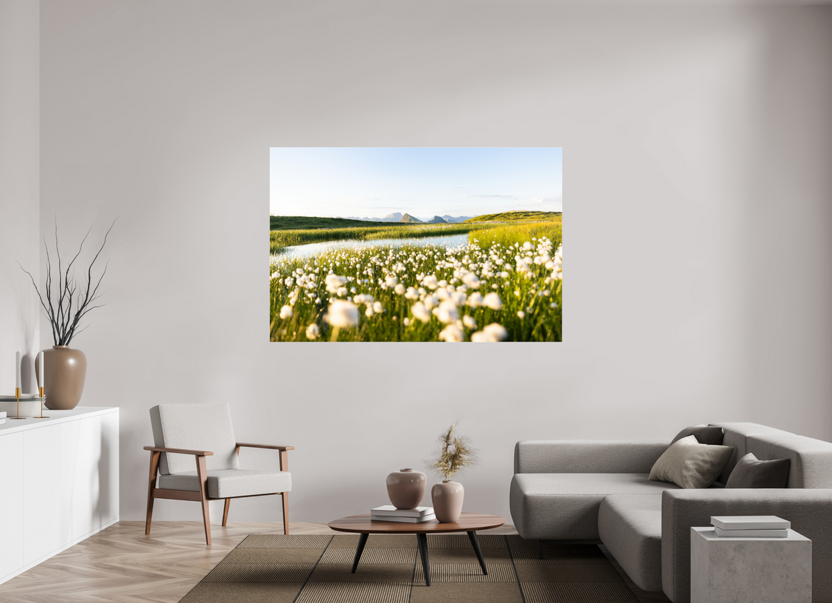 180 x 120 cm, Photo Print Under Acrylic Glass Alpine Cotton Grass by the Pond