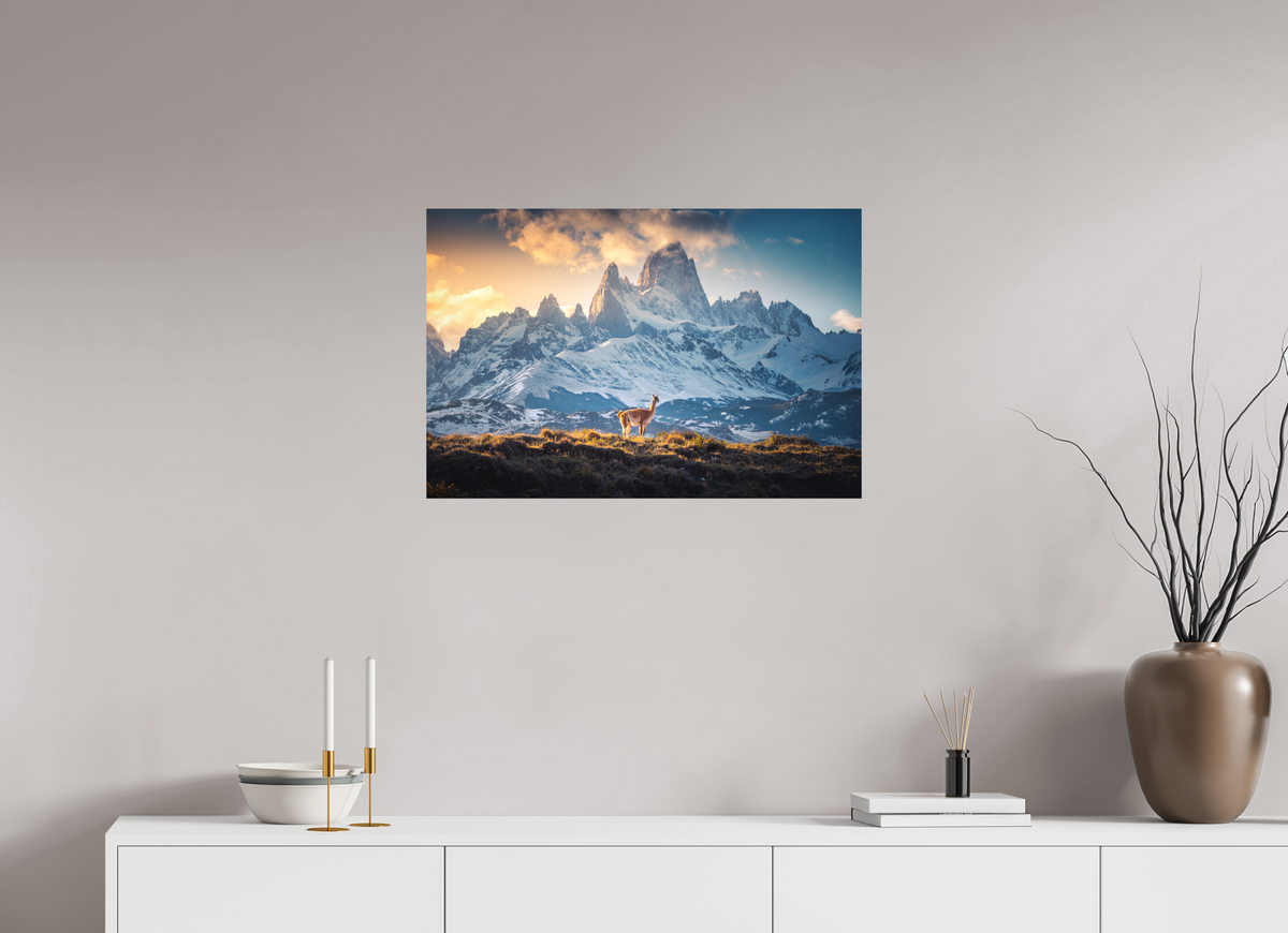 75 x 50 cm, Papierprint ohne Rahmen Guanaco at Fitz Roy, Patagonia