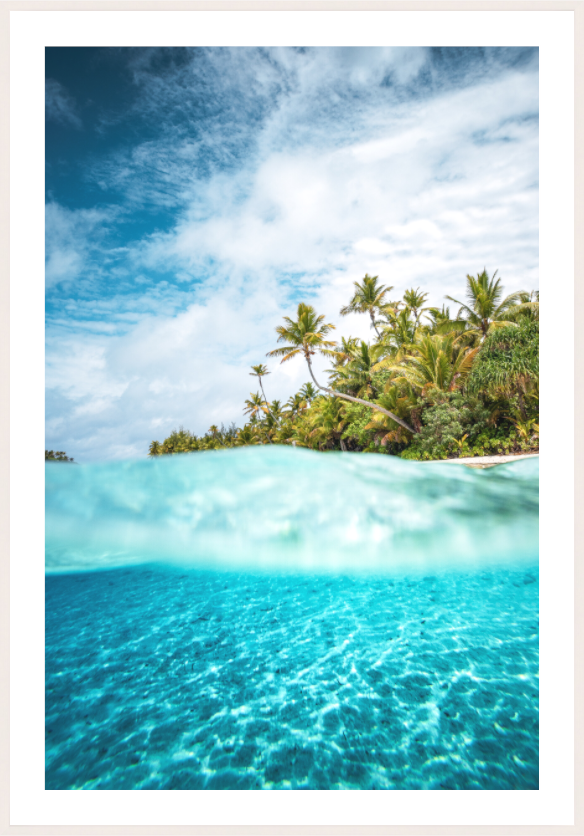 Main image Above and Below the Waterline, Aitutaki