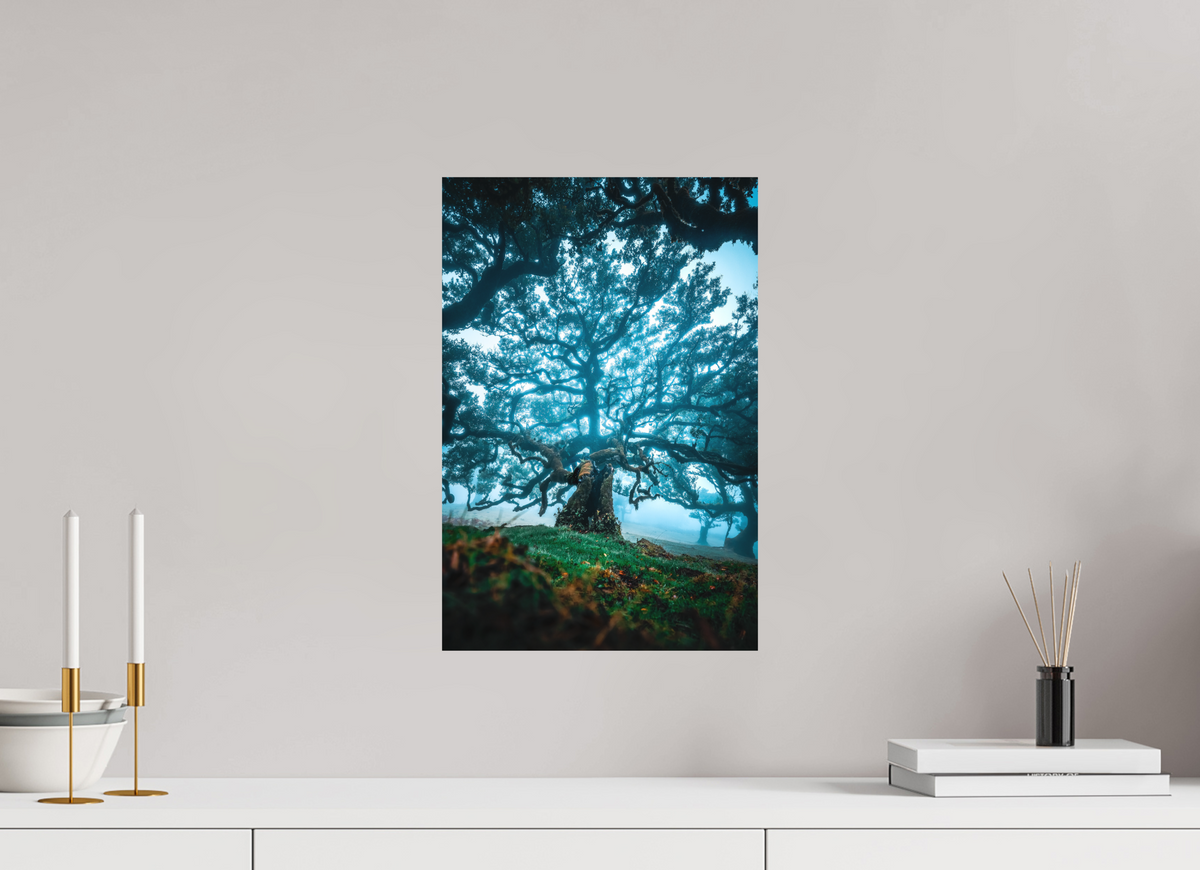 30 x 45 cm, Papierprint ohne Rahmen Old Laurel Tree in the Light, Madeira