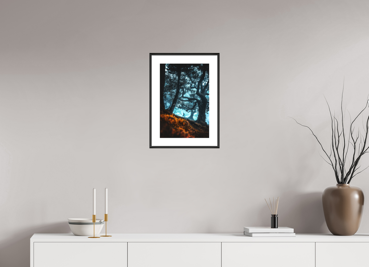 30 x 45 cm, Rahmen-Schwarz Enchanted Forest, Fanal, Madeira
