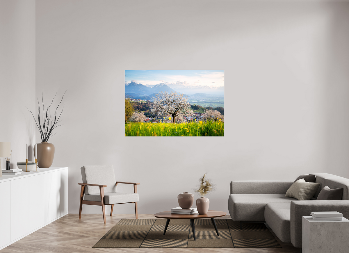 150 x 100 cm, Photo Print Under Acrylic Glass Spring Cherry Tree Meadow, Fraxern