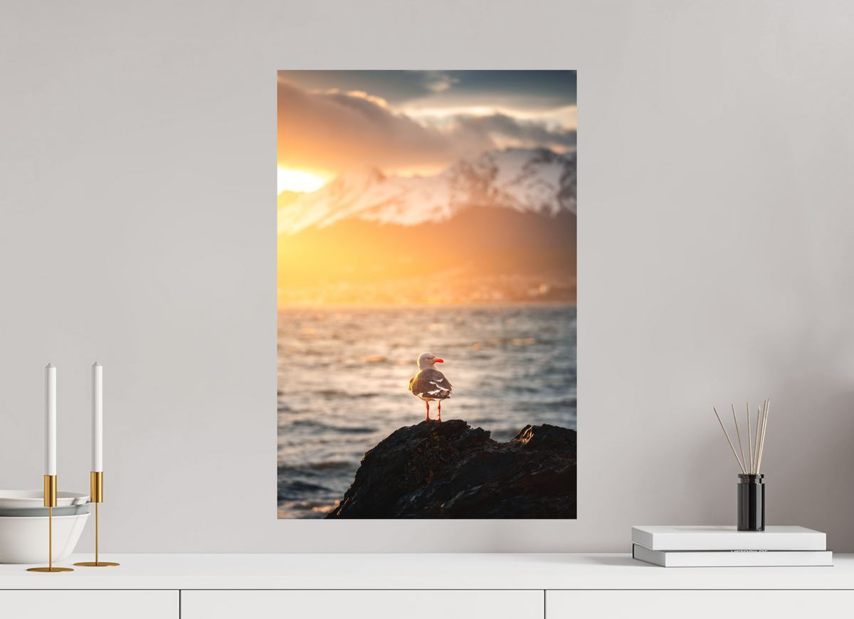 40 x 60 cm, Papierprint ohne Rahmen Seagull at Sunset, Ushuaia