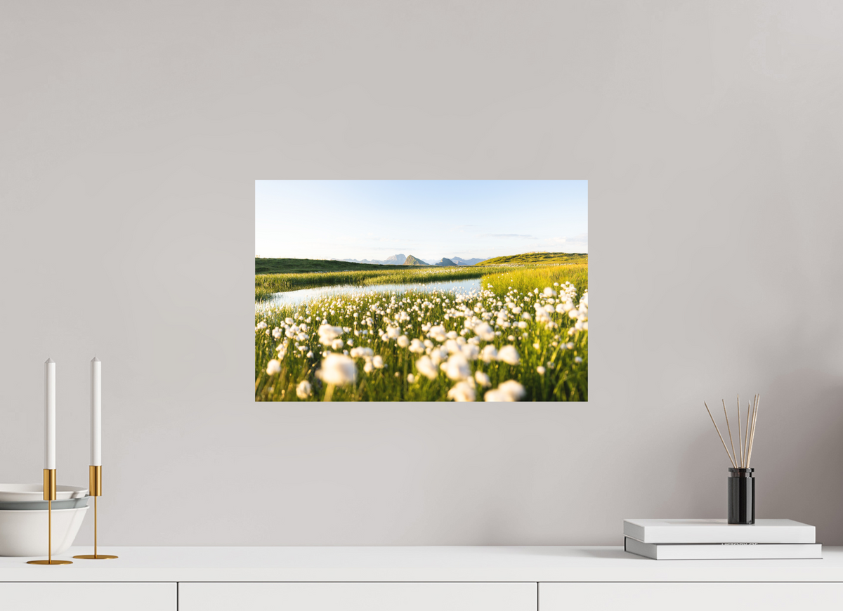 45 x 30 cm, Papierprint ohne Rahmen Alpine Cotton Grass by the Pond