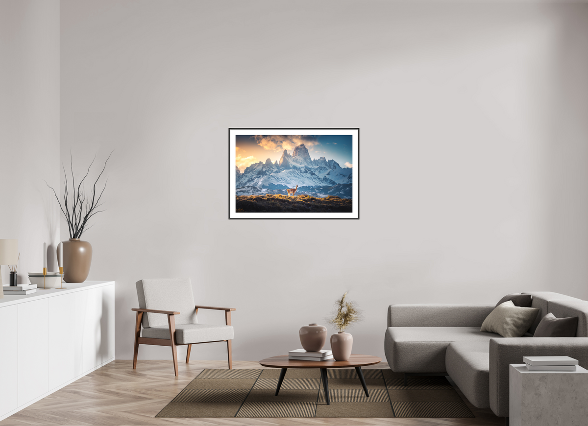 105 x 70 cm, Rahmen-Schwarz Guanaco at Fitz Roy, Patagonia