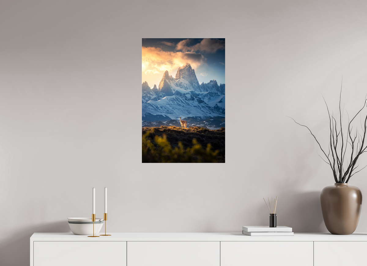 50 x 75 cm, Photo Print Under Acrylic Glass Guanaco below Fitz Roy in Golden Light, Patagonia