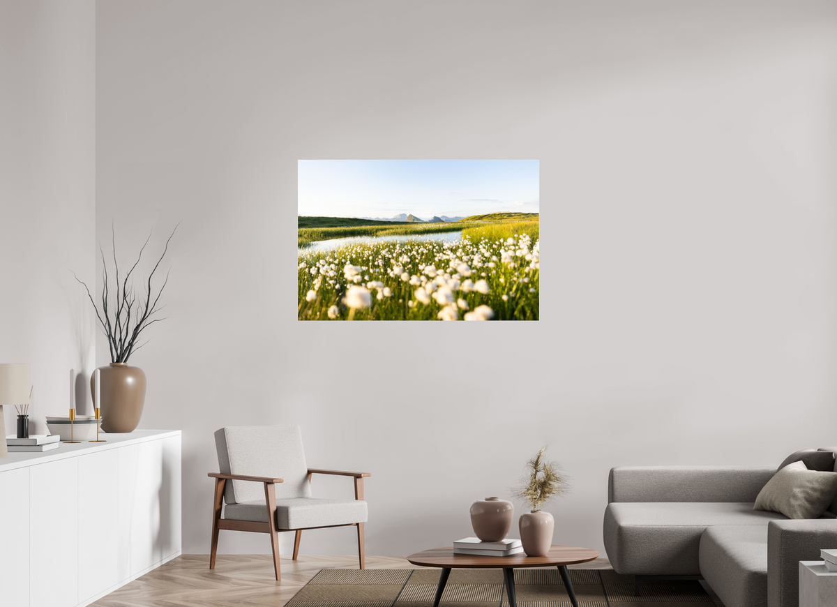120 x 80 cm, Photo Print Under Acrylic Glass Alpine Cotton Grass by the Pond
