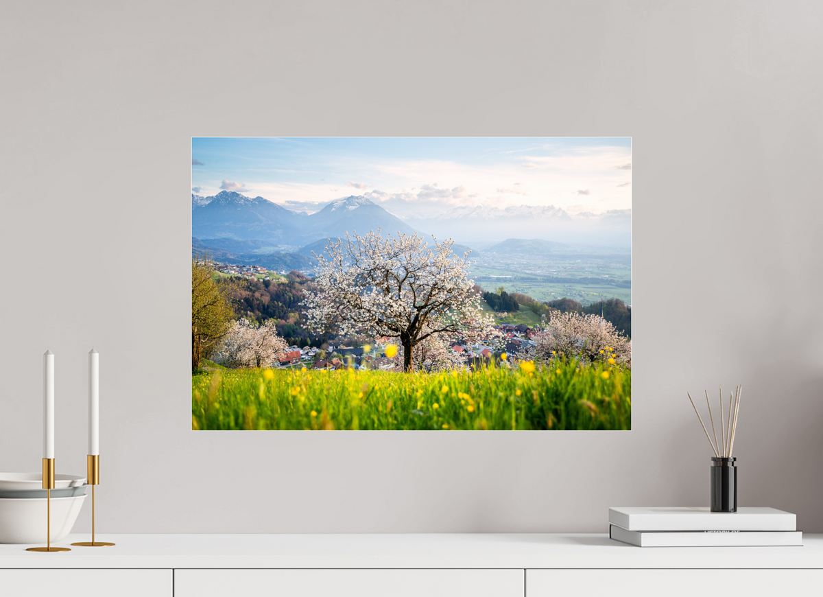 60 x 40 cm, Photo Print Under Acrylic Glass Spring Cherry Tree Meadow, Fraxern