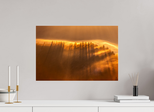 60 x 40 cm, Photo Print Under Acrylic Glass Autumn Fog in the Forest, Austria