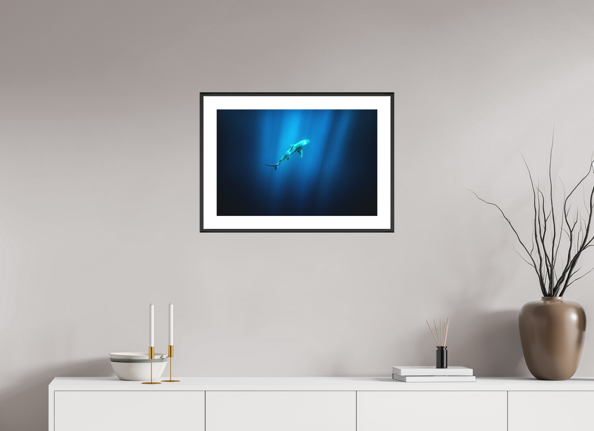 60 x 40 cm, Rahmen-Schwarz Shark in Hawaiian Blue Waters