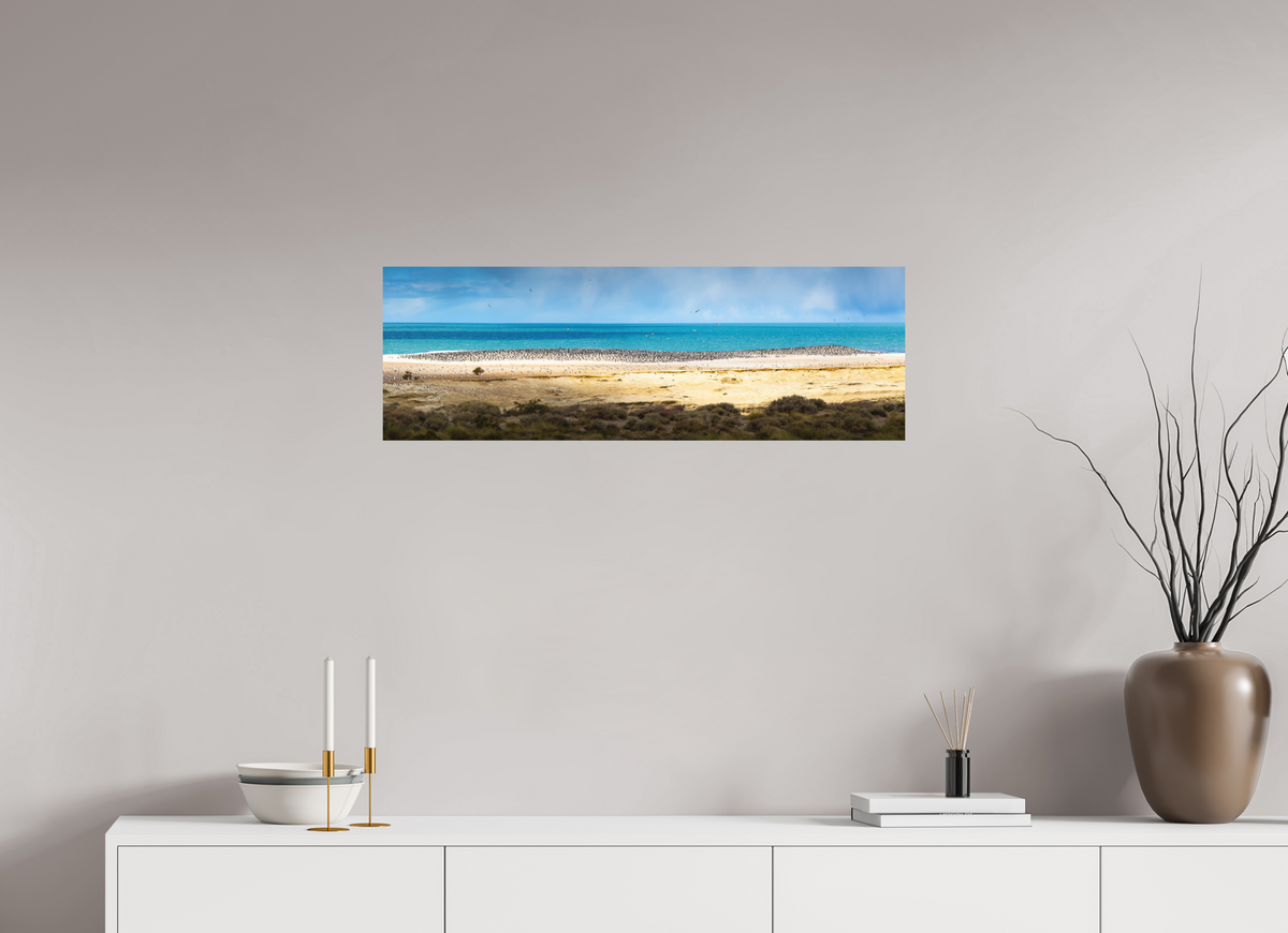 90 x 30 cm, Papierprint ohne Rahmen Penguins on the Beach, Argentine Patagonia