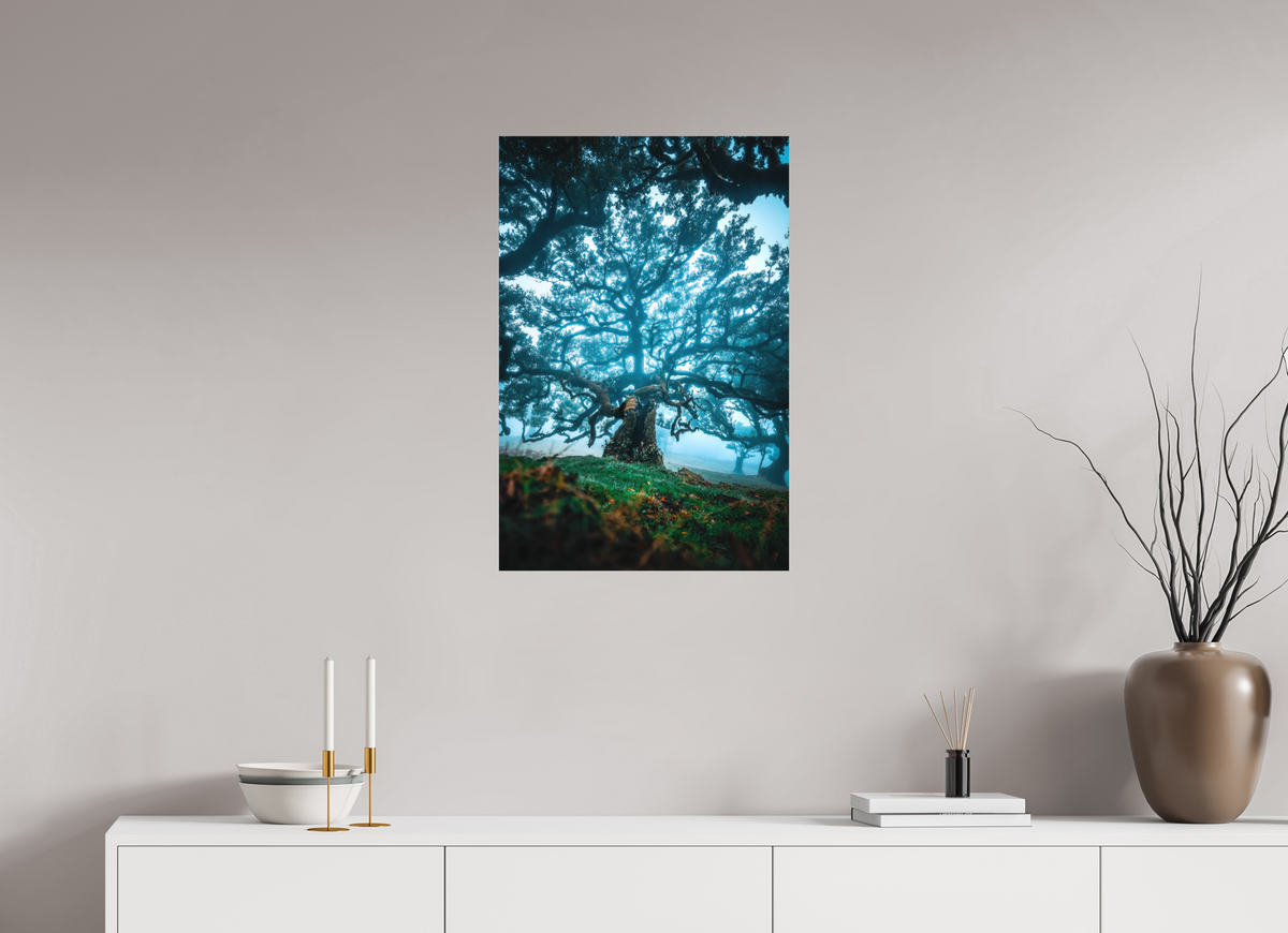 50 x 75 cm, Papierprint ohne Rahmen Old Laurel Tree in the Light, Madeira
