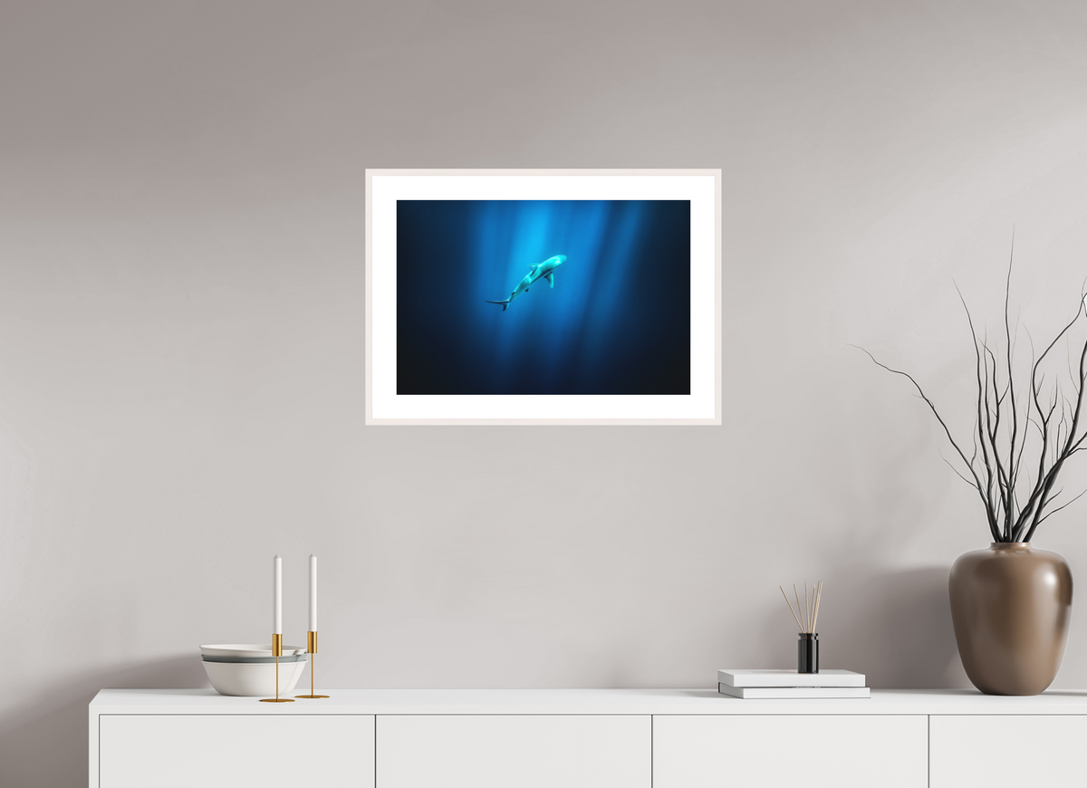 60 x 40 cm, Rahmen-Weiß Shark in Hawaiian Blue Waters