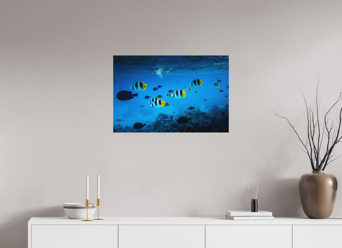 75 x 50 cm, Papierprint ohne Rahmen Tropical Fish, Bora Bora