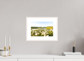 30 x 20 cm, Rahmen-Weiß Alpine Cotton Grass by the Pond