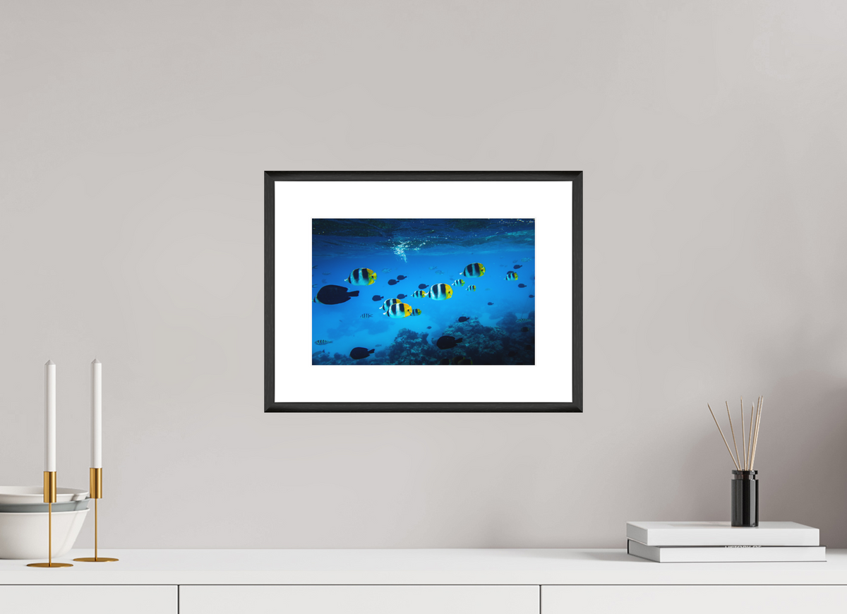 30 x 20 cm, Rahmen-Schwarz Tropical Fish, Bora Bora