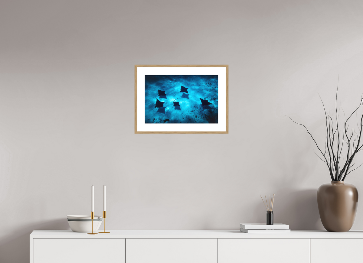 45 x 30 cm, Rahmen-Holzoptik Eagle Rays in the Lagoon, Bora Bora