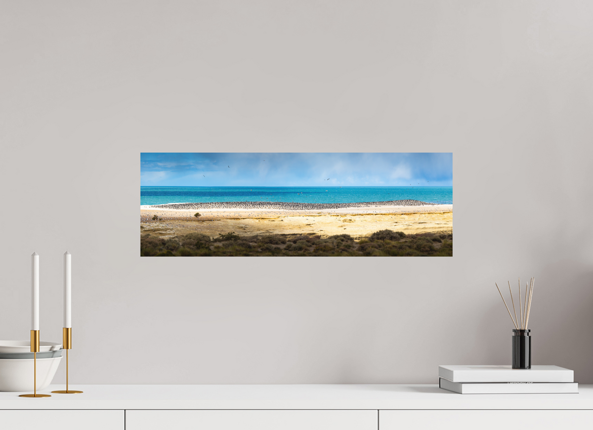 60 x 20 cm, Papierprint ohne Rahmen Penguins on the Beach, Argentine Patagonia