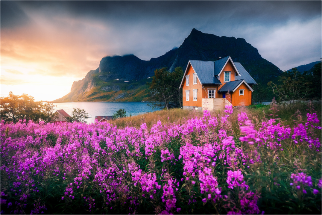 Main image Orange House with Flowers, Lofoten