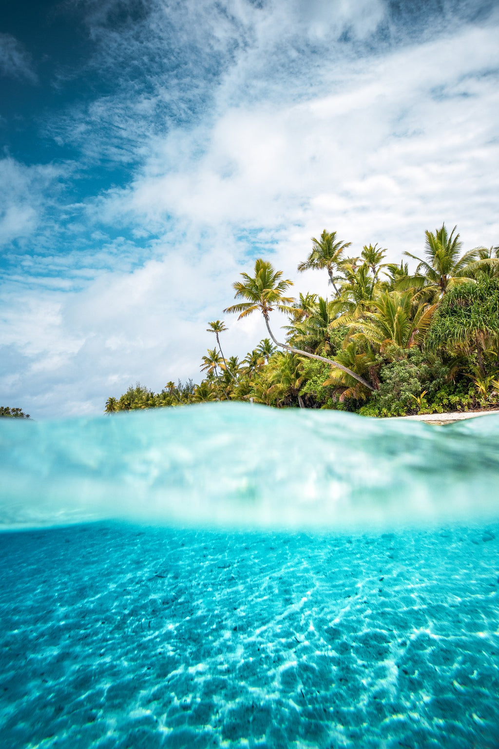 Photo Above and Below the Waterline, Aitutaki