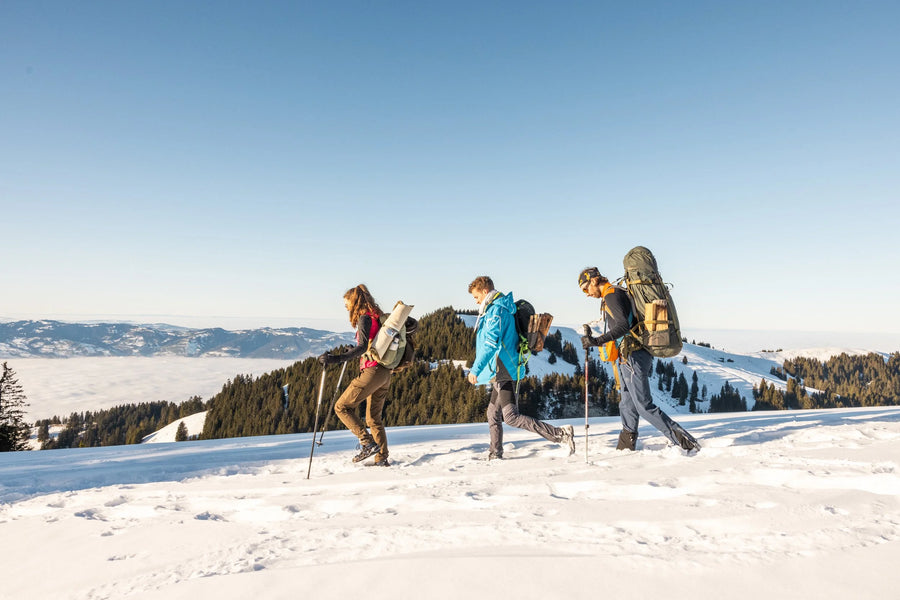 Community adventure, cheese fondue at sunset on the First above Fraxern, Vorarlberg