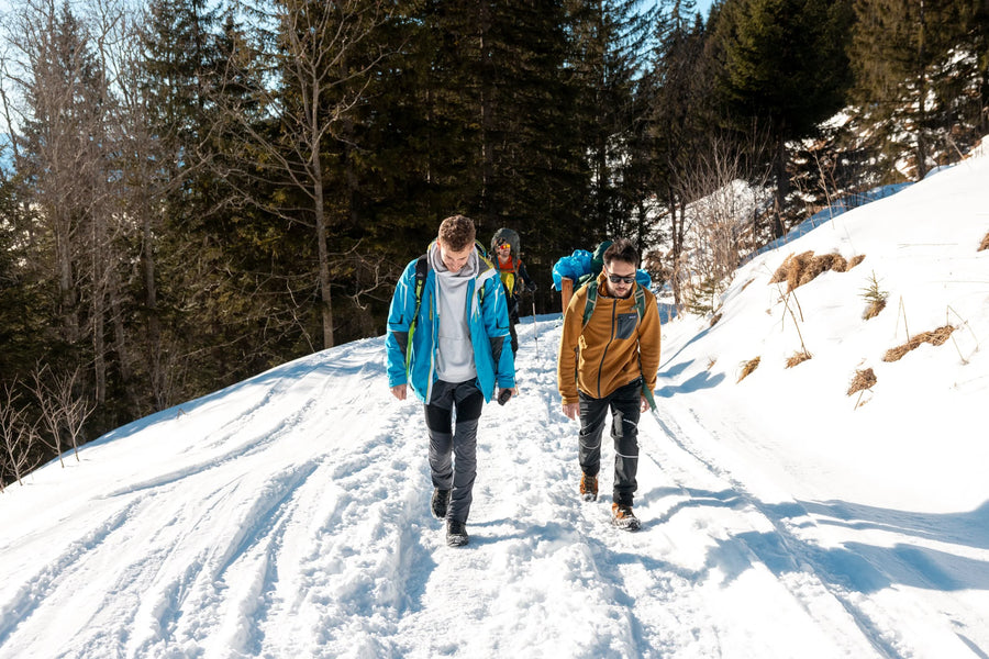 Community adventure, cheese fondue at sunset on the First above Fraxern, Vorarlberg