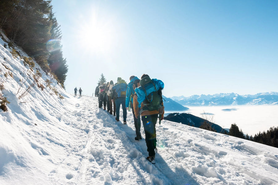 Community adventure, cheese fondue at sunset on the First above Fraxern, Vorarlberg