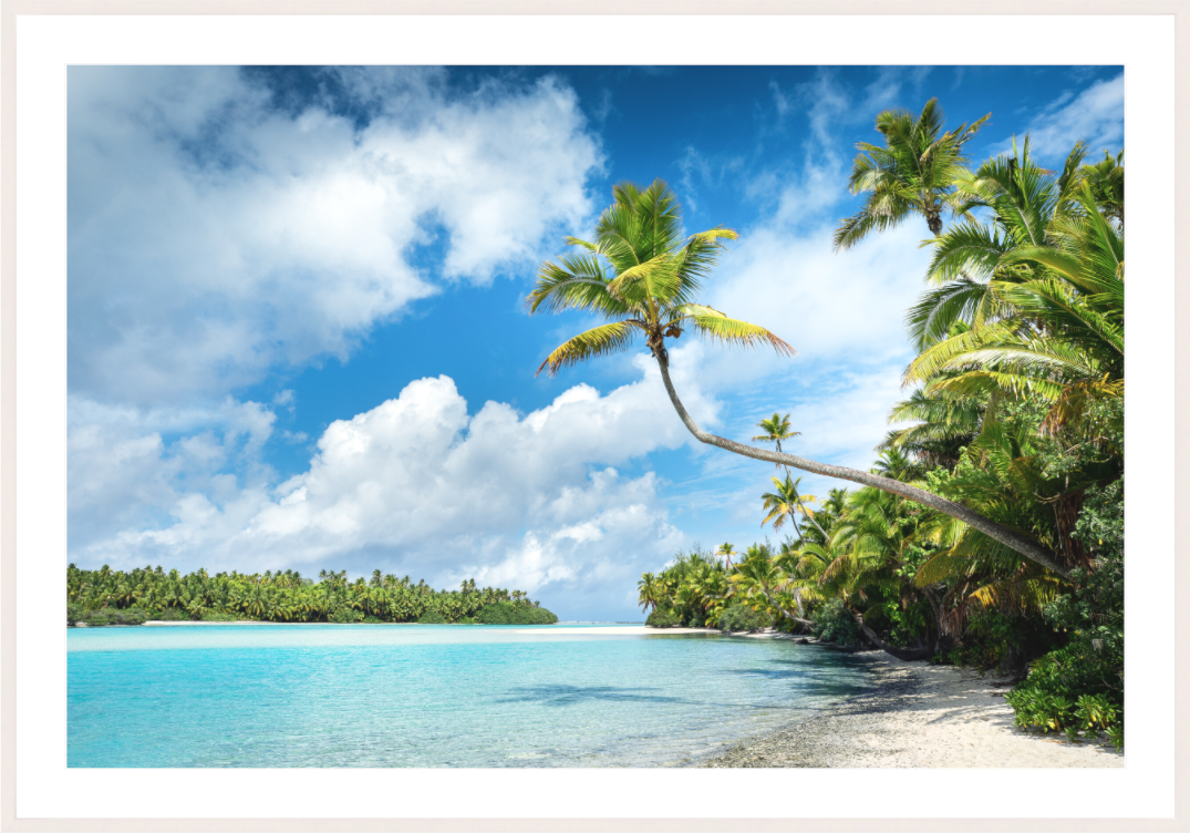 Main image Curved Palm Over the Lagoon, Aitutaki