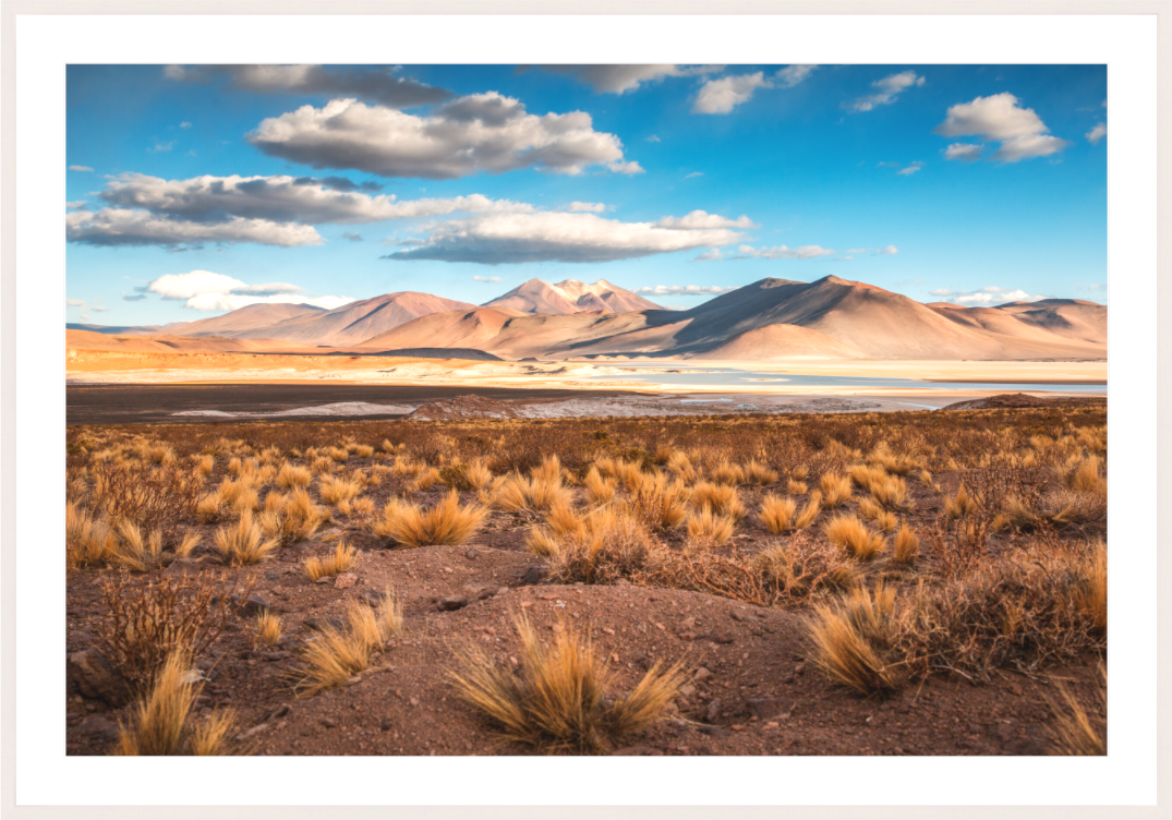 Main image Golden Light in the Atacama Desert