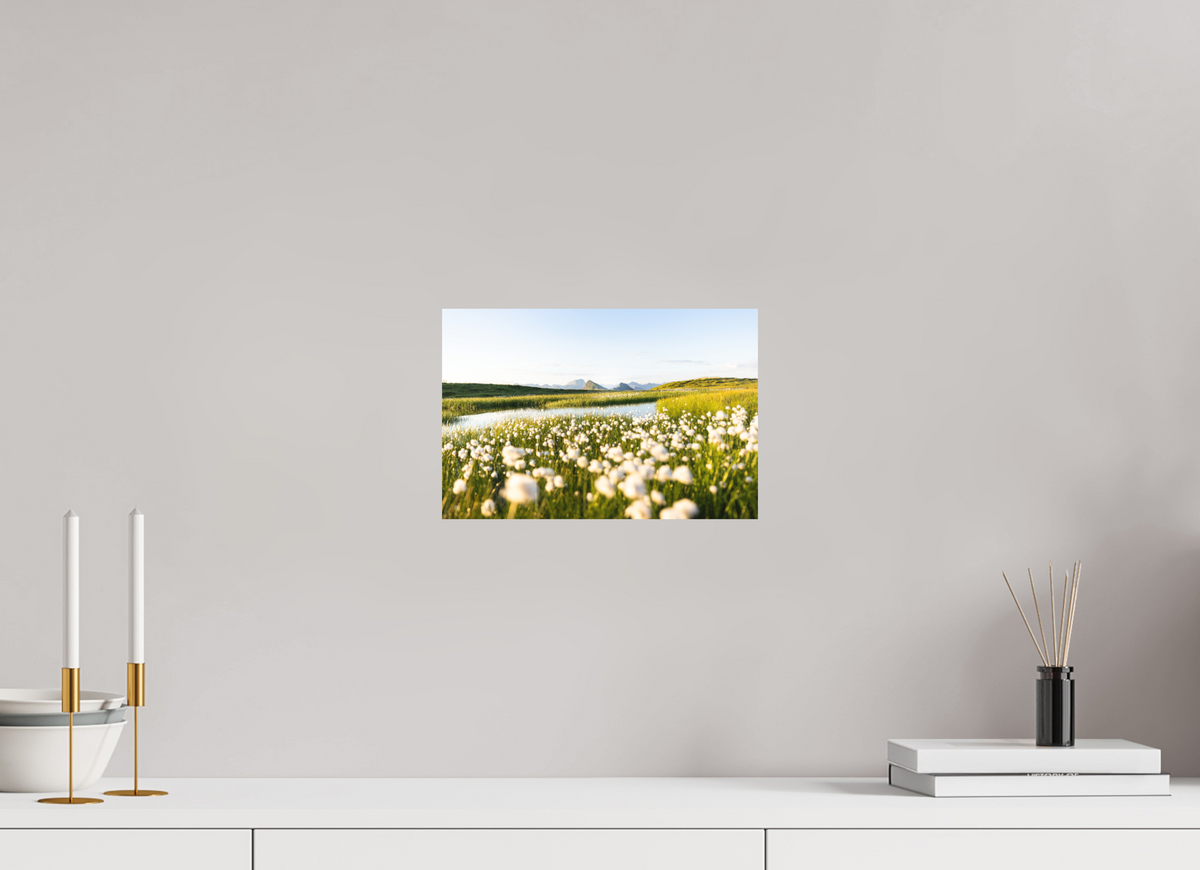 30 x 20 cm, Papierprint ohne Rahmen Alpine Cotton Grass by the Pond