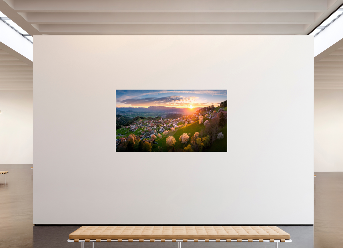 208 x 117 cm, Photo Print Under Acrylic Glass Cherry Blossoms at Sunset, Fraxern Vorarlberg