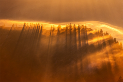 Main image Autumn Fog in the Forest, Austria