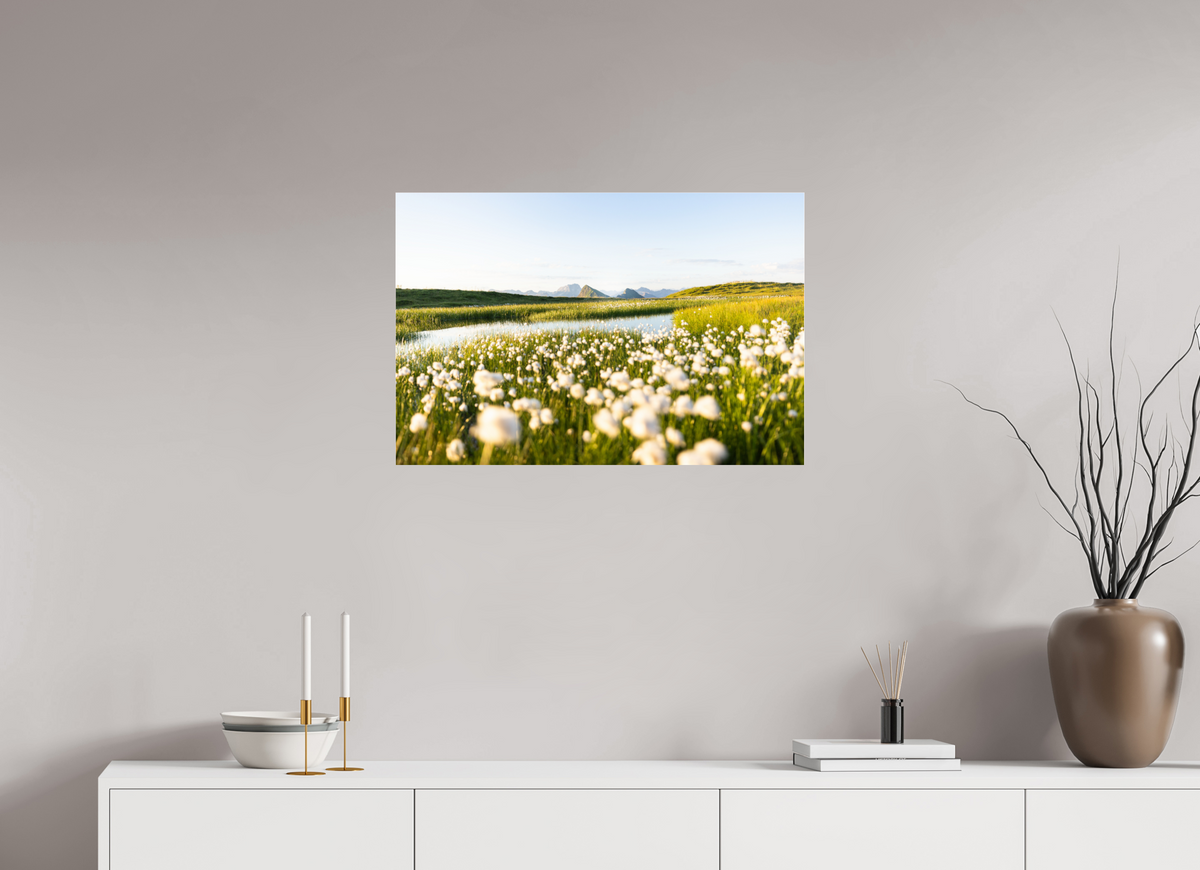 75 x 50 cm, Photo Print Under Acrylic Glass Alpine Cotton Grass by the Pond