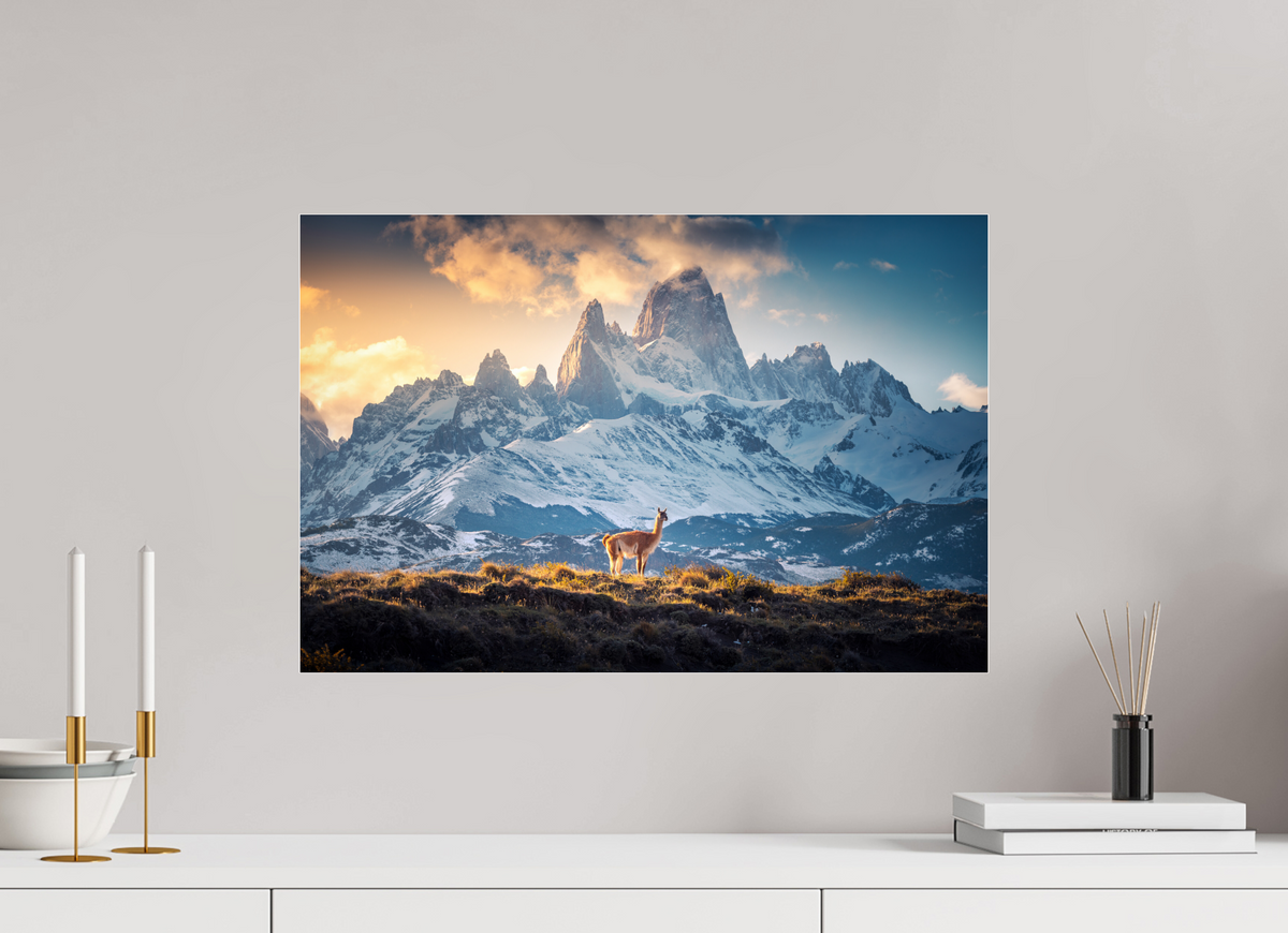 60 x 40 cm, Photo Print Under Acrylic Glass Guanaco at Fitz Roy, Patagonia