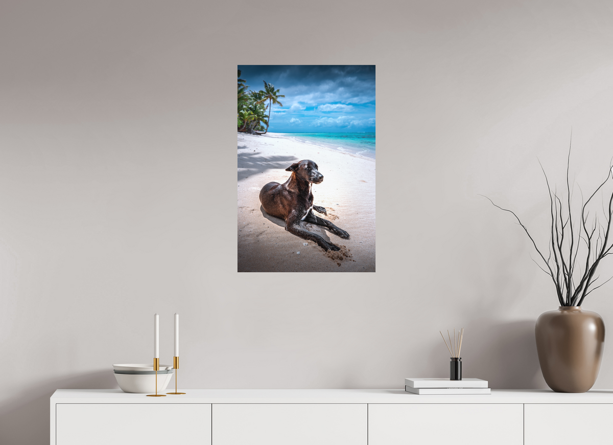 50 x 75 cm, Papierprint ohne Rahmen Beach Dog at Rarotonga, Cook Islands