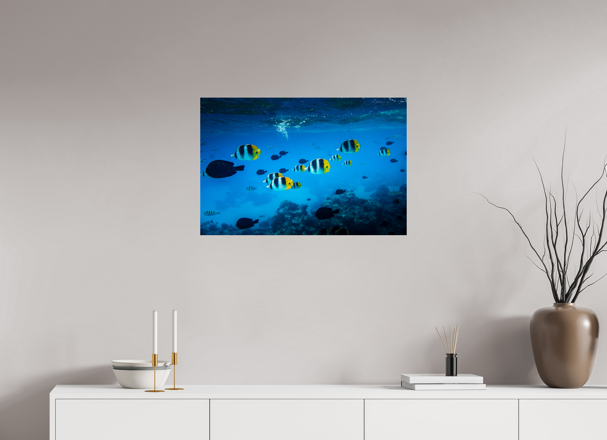 75 x 50 cm, Photo Print Under Acrylic Glass Tropical Fish, Bora Bora