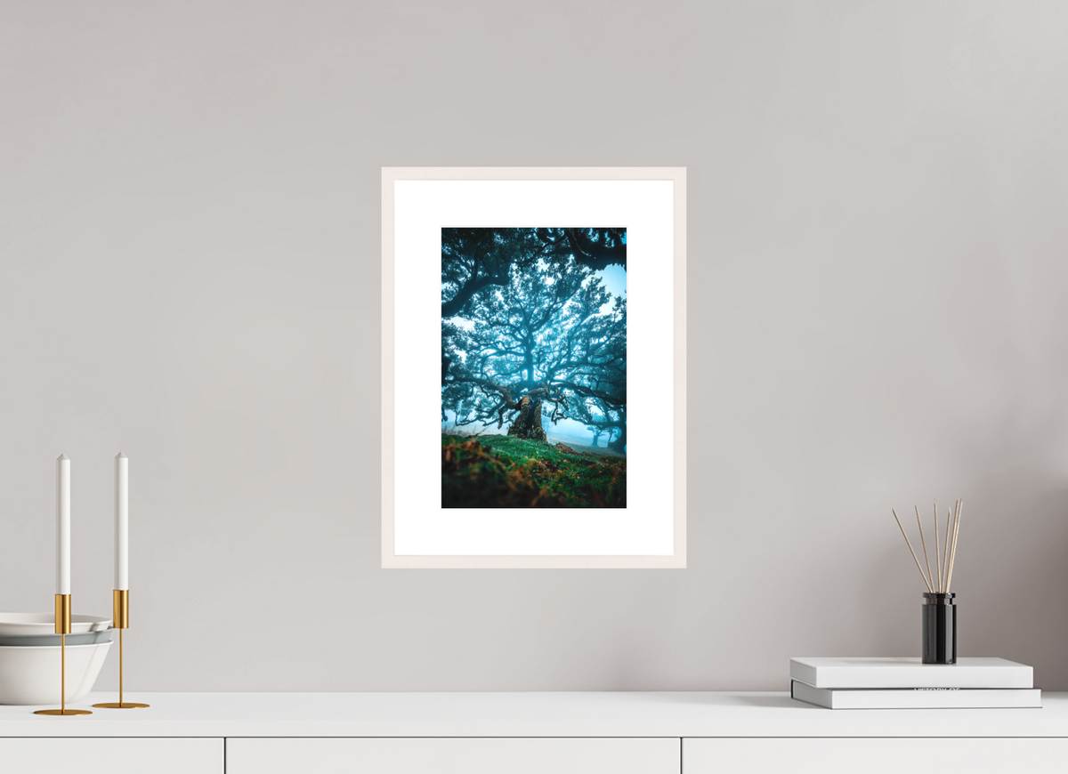 20 x 30 cm, Rahmen-Weiß Old Laurel Tree in the Light, Madeira