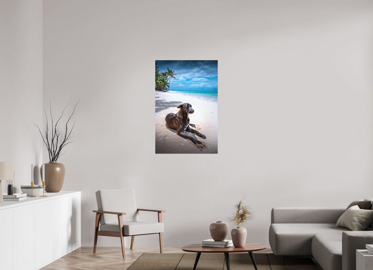 70 x 105 cm, Papierprint ohne Rahmen Beach Dog at Rarotonga, Cook Islands