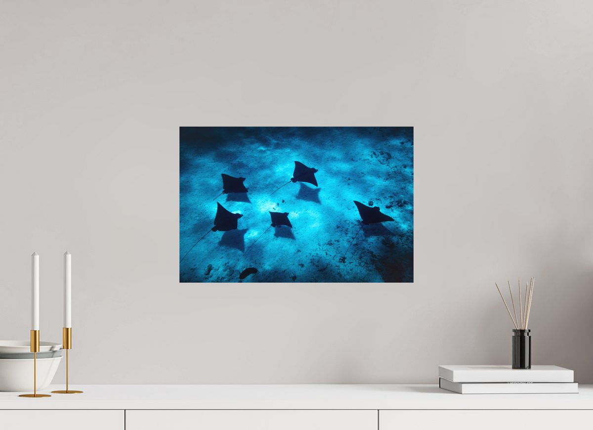 45 x 30 cm, Papierprint ohne Rahmen Eagle Rays in the Lagoon, Bora Bora